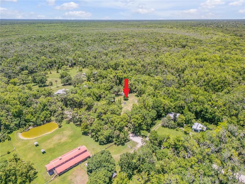 For Sale: $300,000 (3.74 acres)