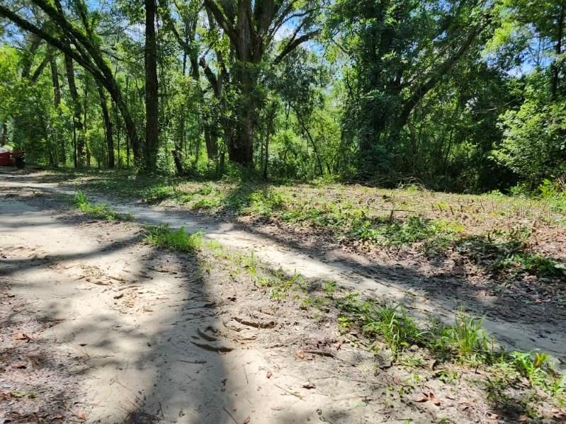 Street view of land after mowing