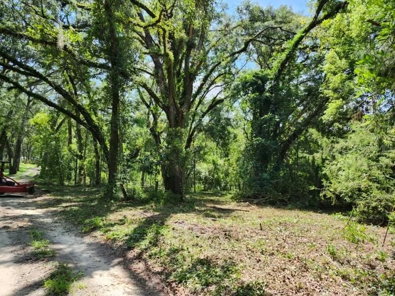 Street view of land after mowing