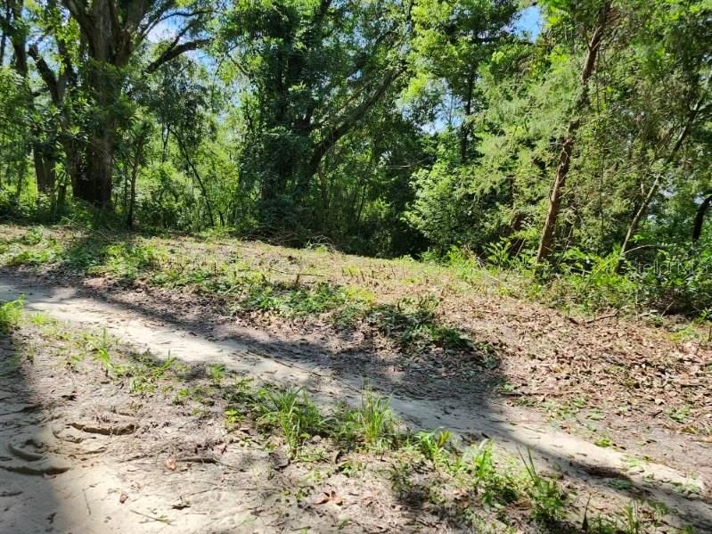 Street view of land after mowing