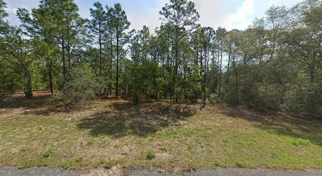 For Sale: $45,900 (0.46 acres)