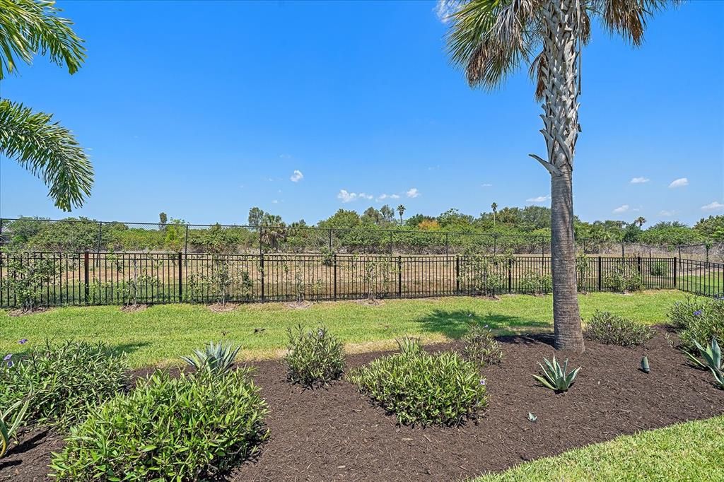 Back yard landscaping