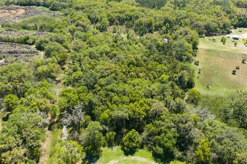 Activo con contrato: $115,000 (5.00 acres)