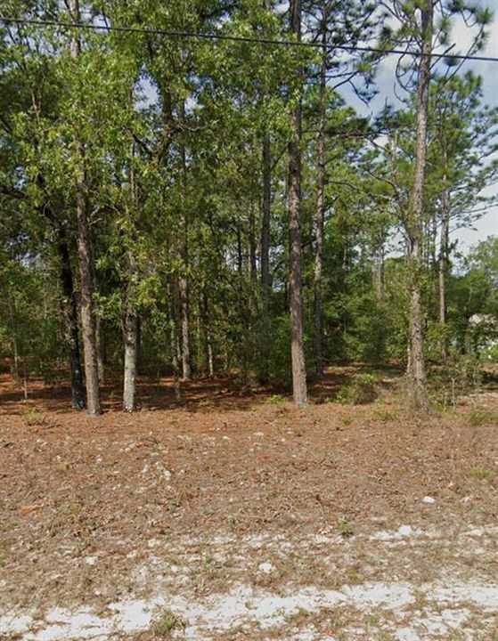 Recently Sold: $24,000 (0.23 acres)