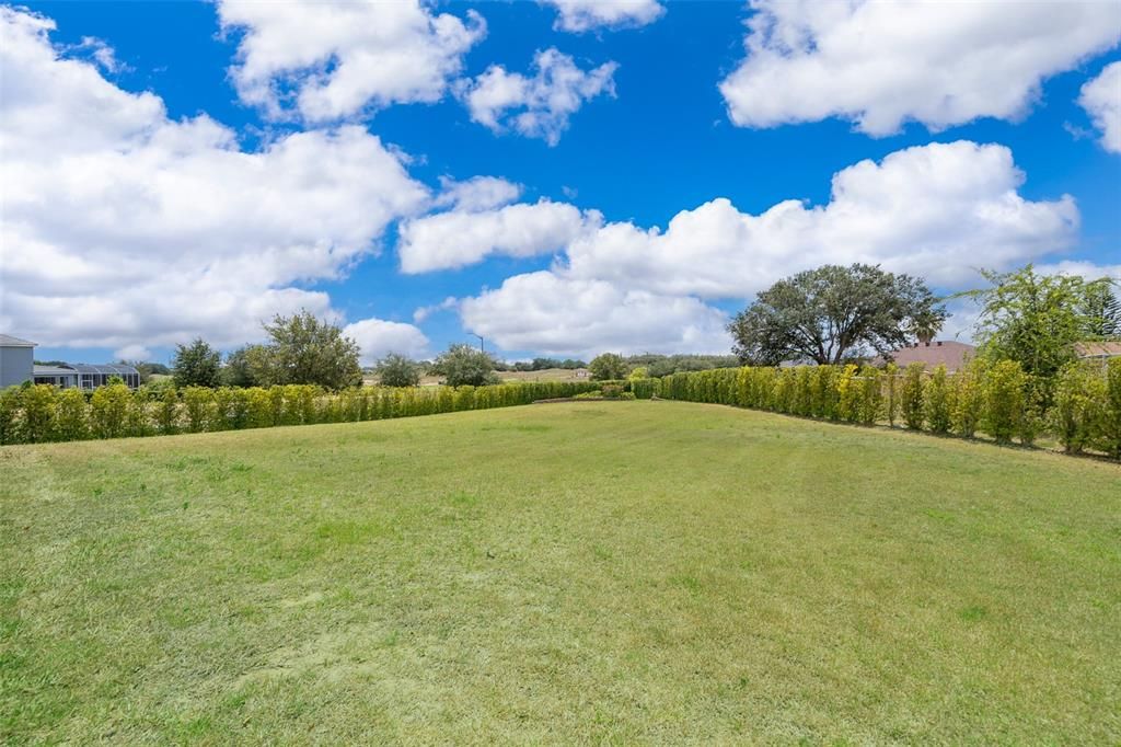 Nice open back yard.