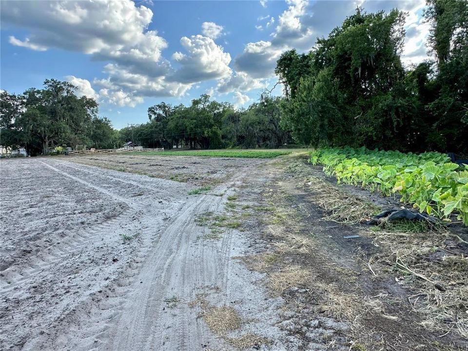 На продажу: $1,500,000 (10.00 acres)