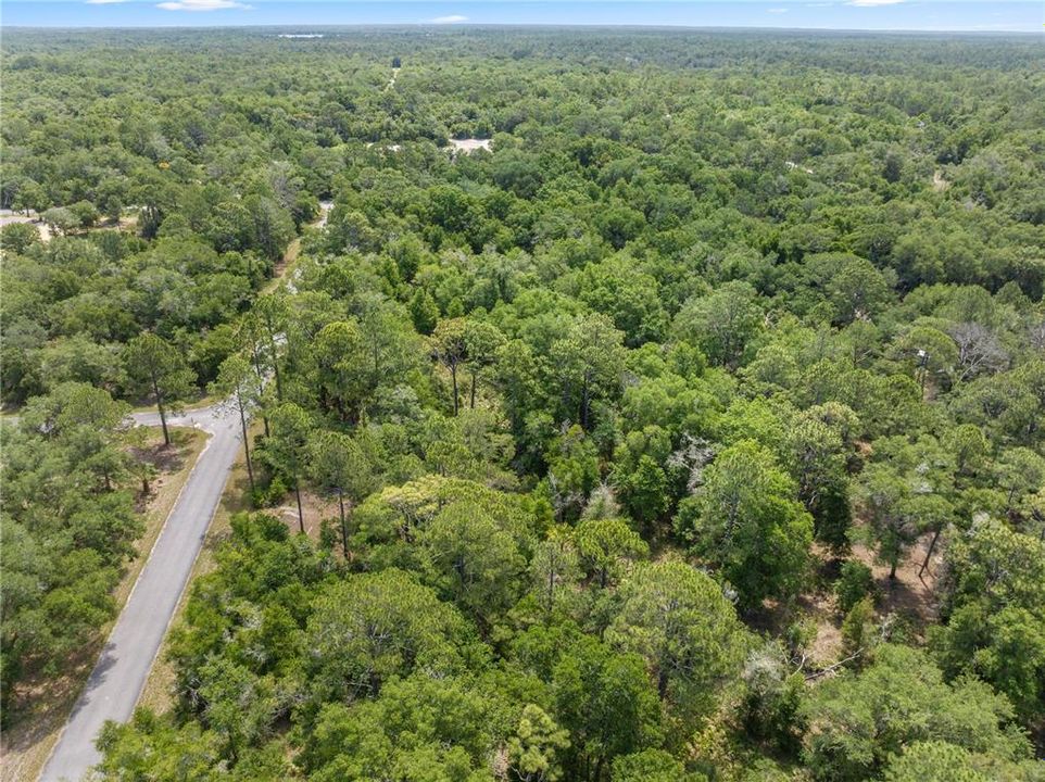 En Venta: $30,000 (1.23 acres)