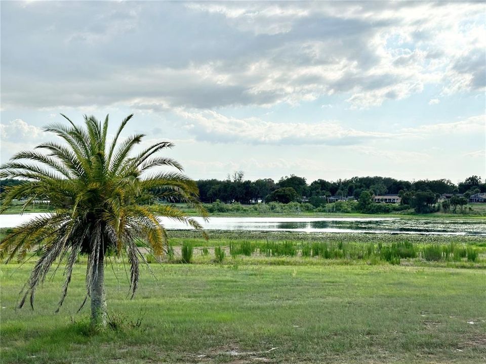 View of Lake Alden