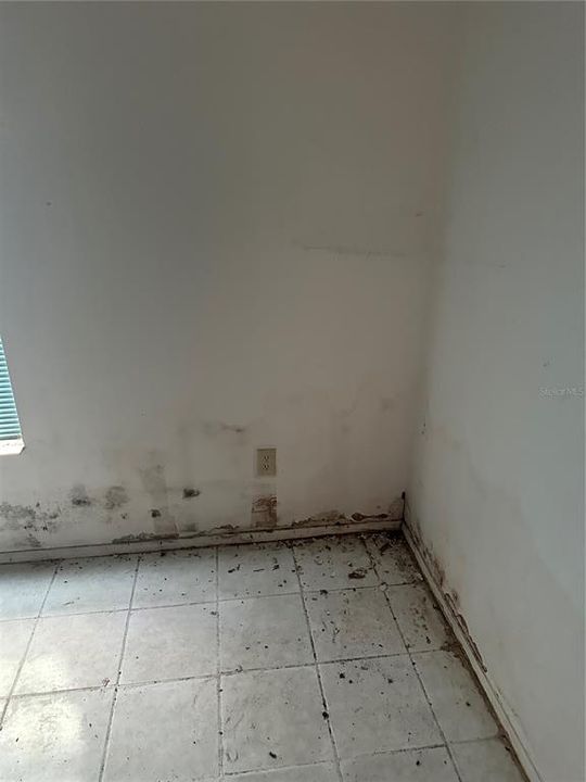 Activo con contrato: $320,000 (3 camas, 2 baños, 1658 Pies cuadrados)