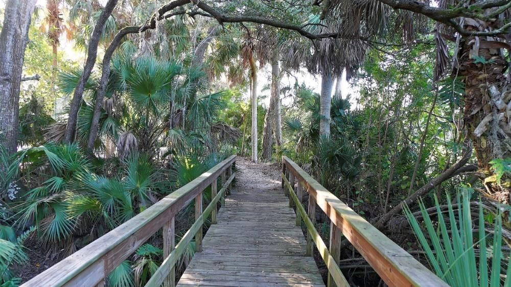 Enjoy the "real Florida" feel on the short walk to the pickleball courts.