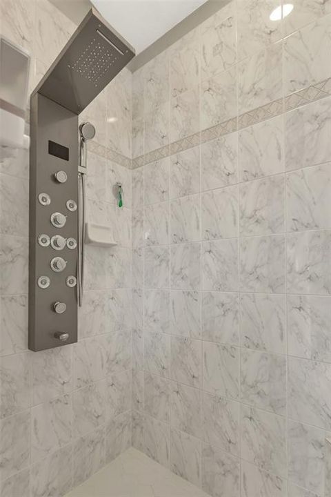 Master bathroom walk in shower.