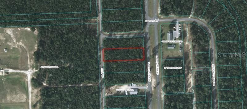 For Sale: $100,000 (0.78 acres)