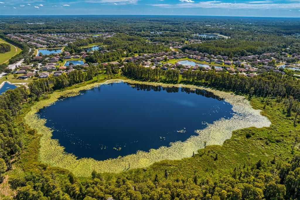 Lake Ruth within the Stonebrier community