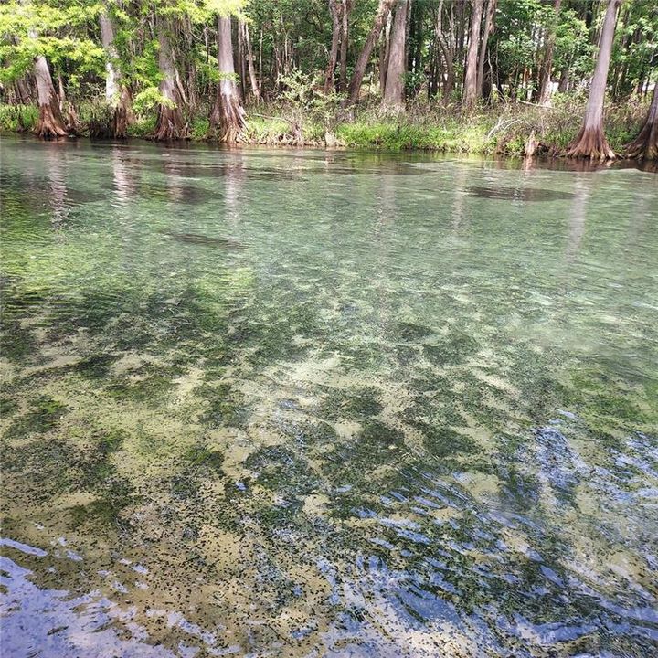 Ichetucknee River