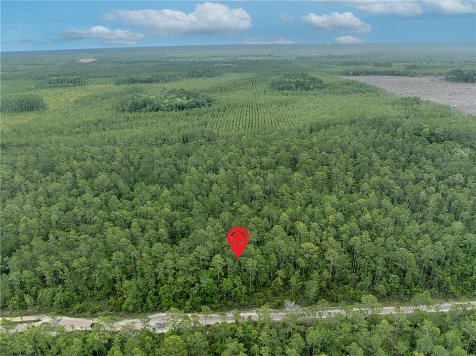 For Sale: $9,000 (1.14 acres)