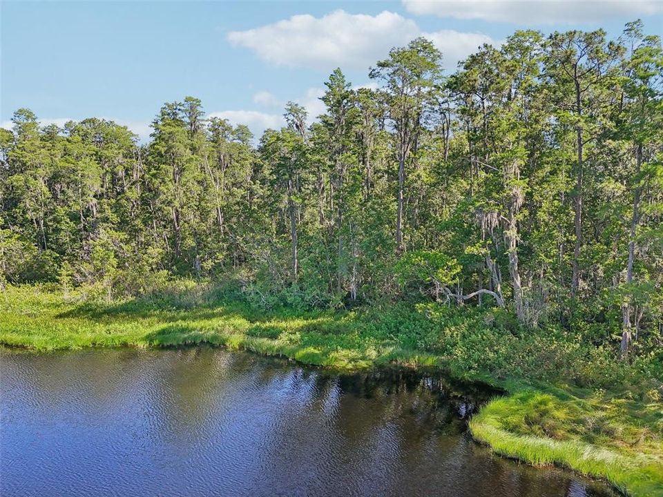 На продажу: $200,000 (6.00 acres)