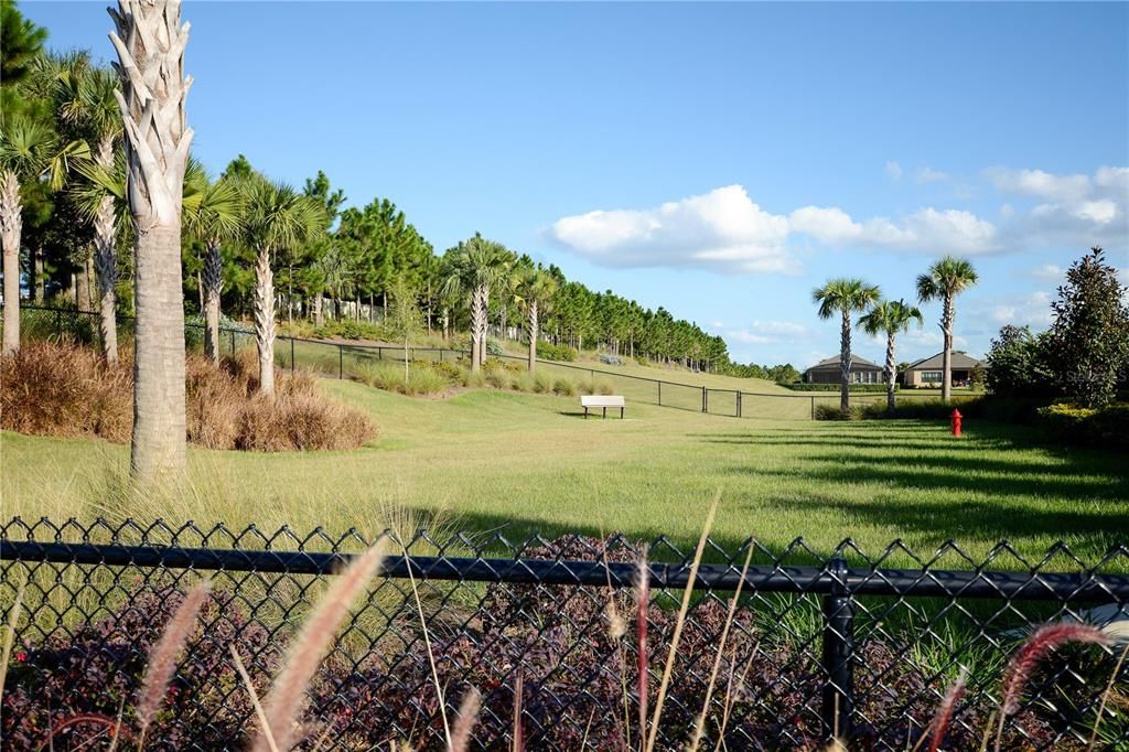 Parent Watch Area at the Esplanade Dog Park