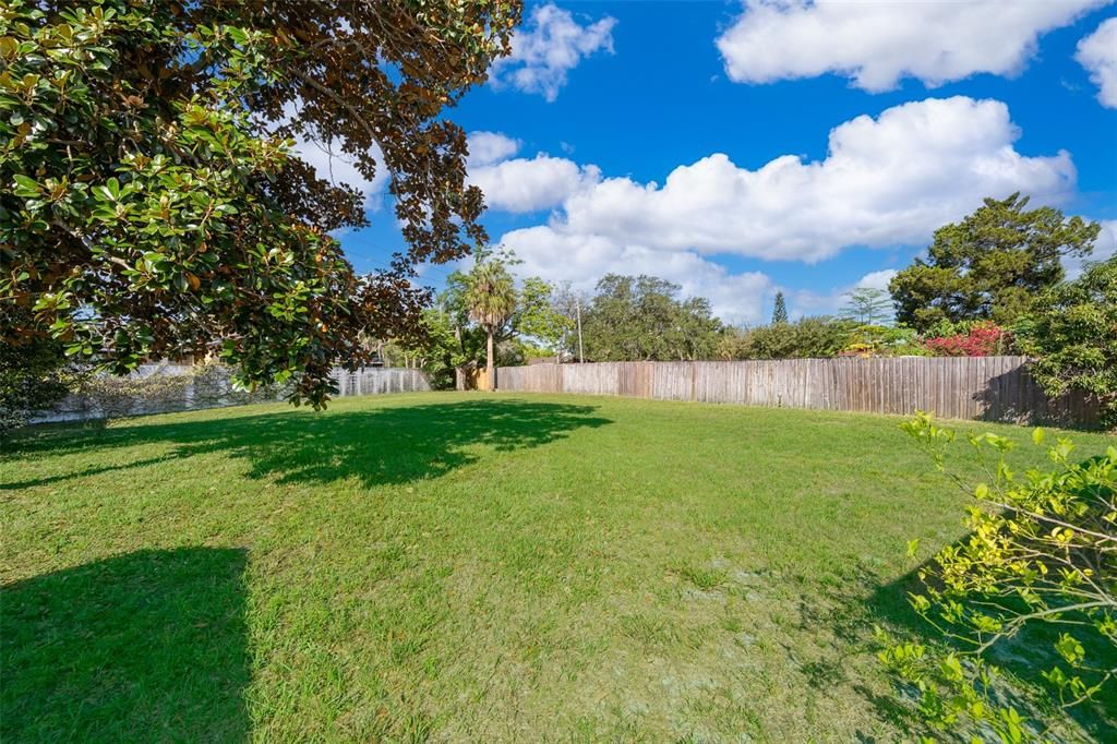 Oversized Back Yard with Privacy Fence