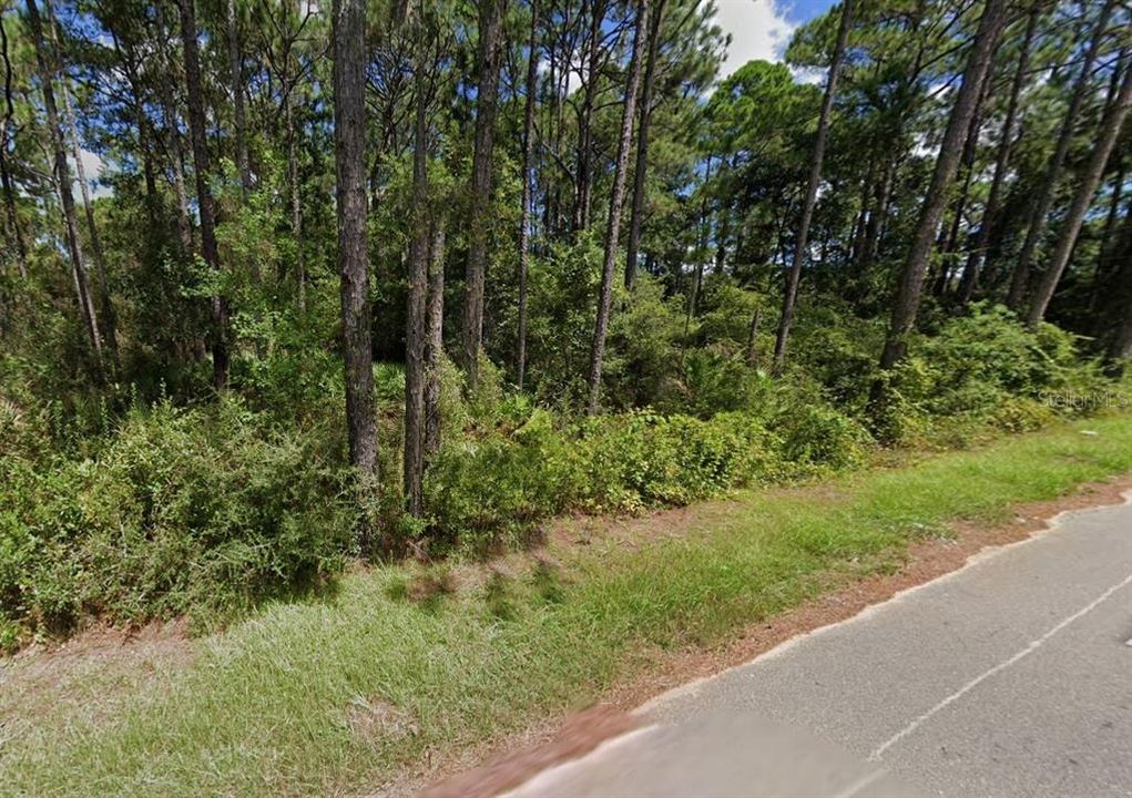 For Sale: $98,000 (1.13 acres)