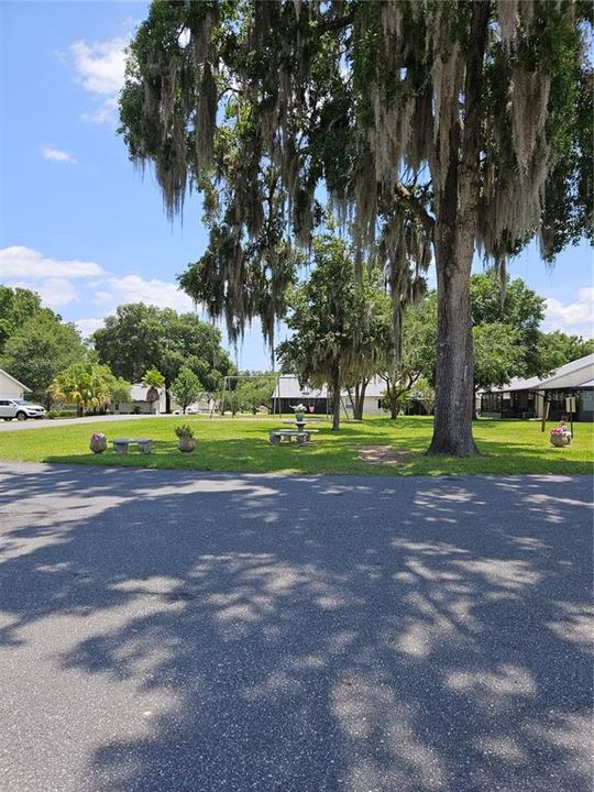 park view from front yard