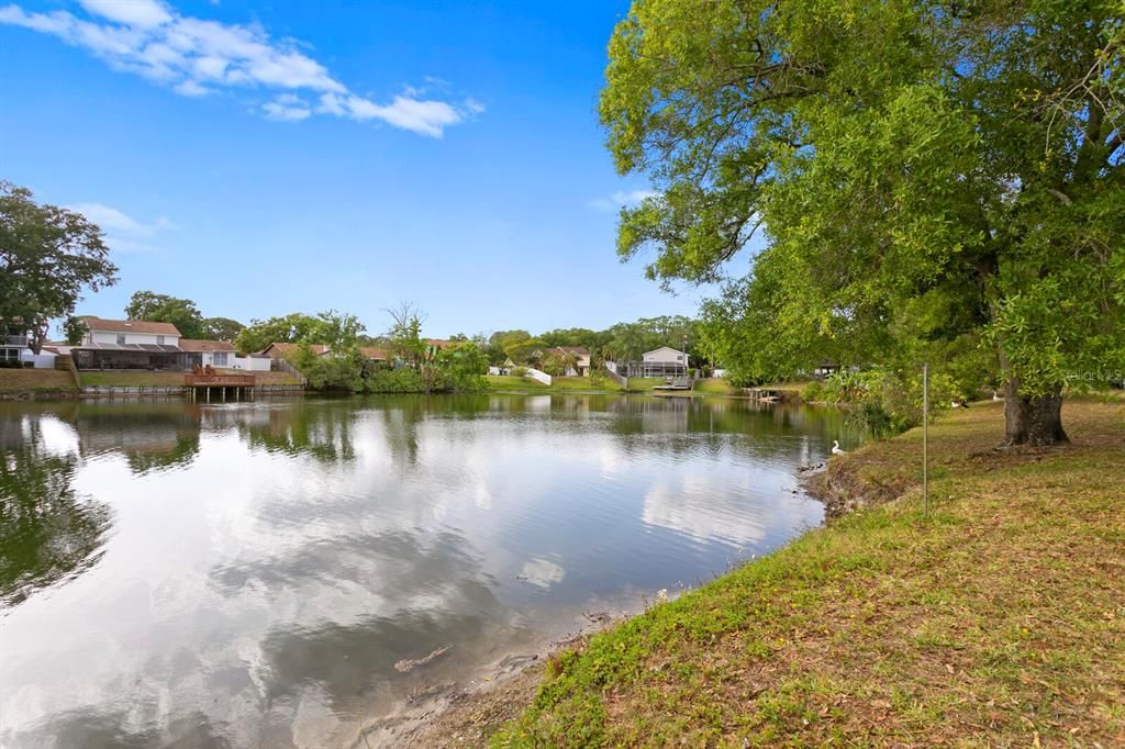 Try your luck fishing in the community lake