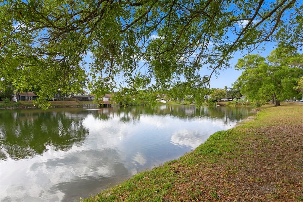 More peaceful water views along the community lake