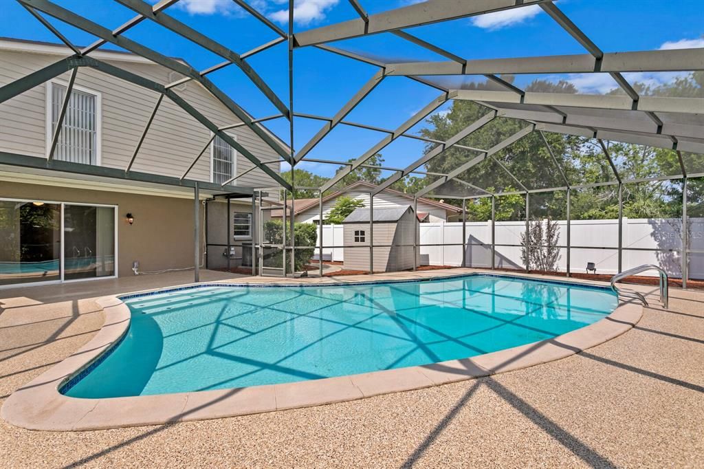 Huge backyard pool