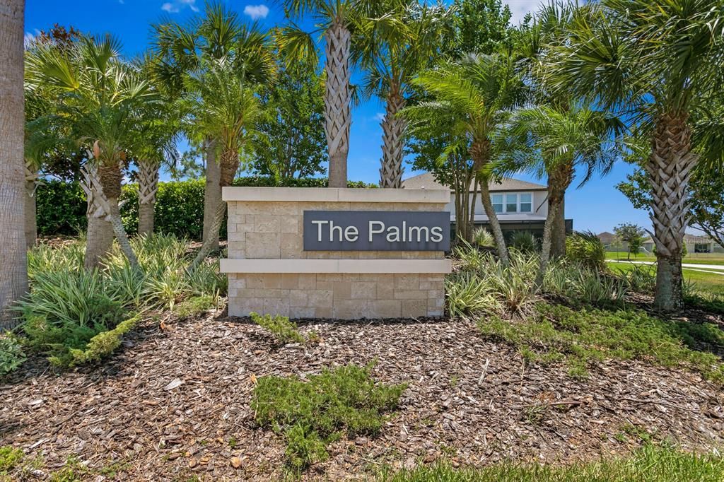 This home is located in The Palms community of the Reserve At Pradera