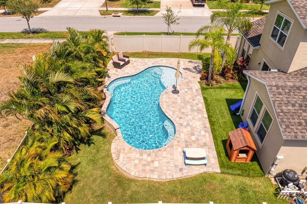 Aerial views of your tropical backyard