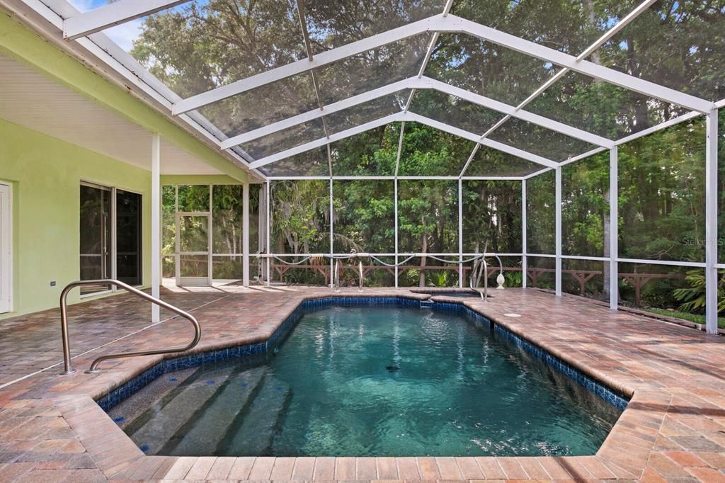 Views of the conservation area from the pool