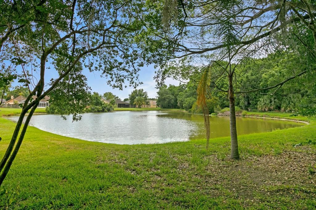 Tranquil water views from the backyard