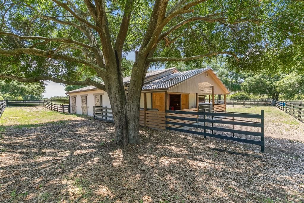 Fenced Pastures