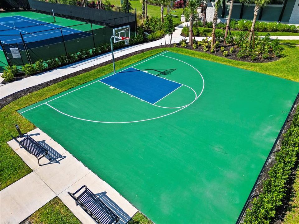 Basketball court