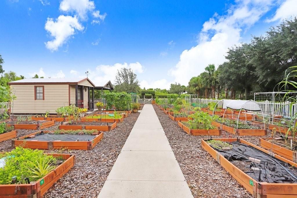 Another photo of the Community Garden!  Valenica Lakes has SO many amenities so you can stay ACTIVE & BUSY!