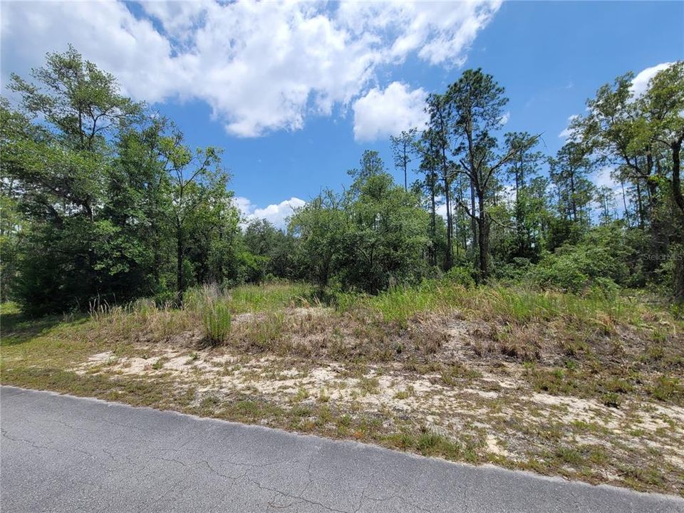 Beautiful .99 Acre Lot looking towards East side of property