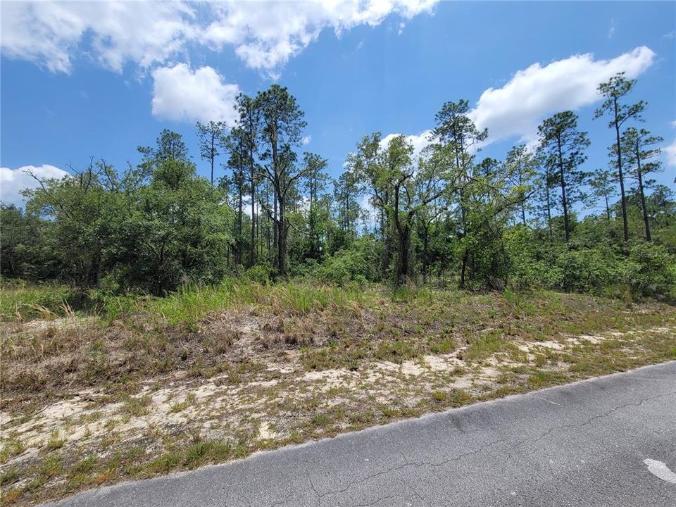 Beautiful .99 Acre Lot looking towards West side of the property