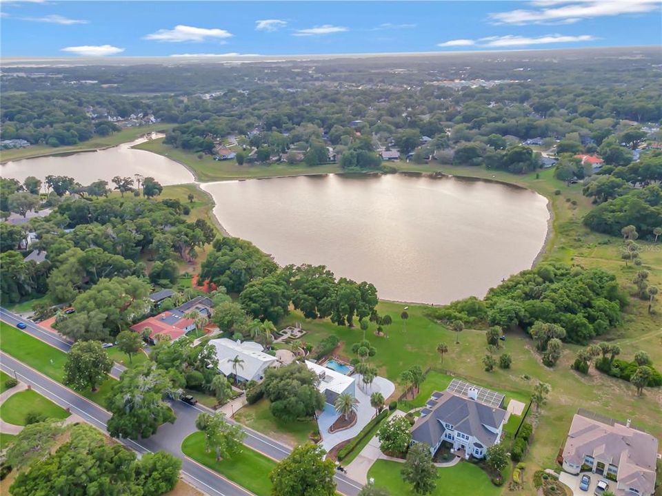 Aerial View of Lake Francis