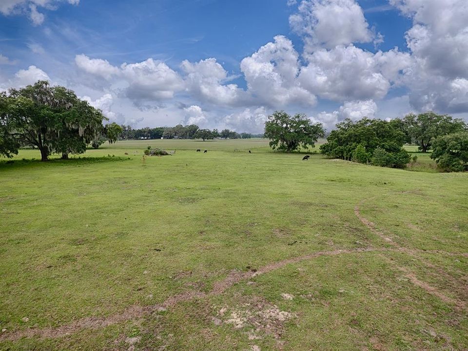 For Sale: $549,000 (20.00 acres)