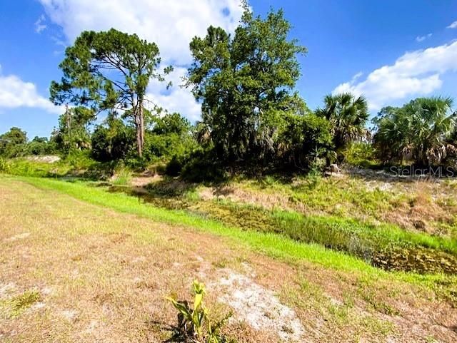 Greenbelt creek leads to lake Blueberry