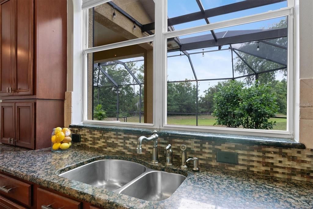 WINDOW OVERLOOKING THE POOL AND TREES