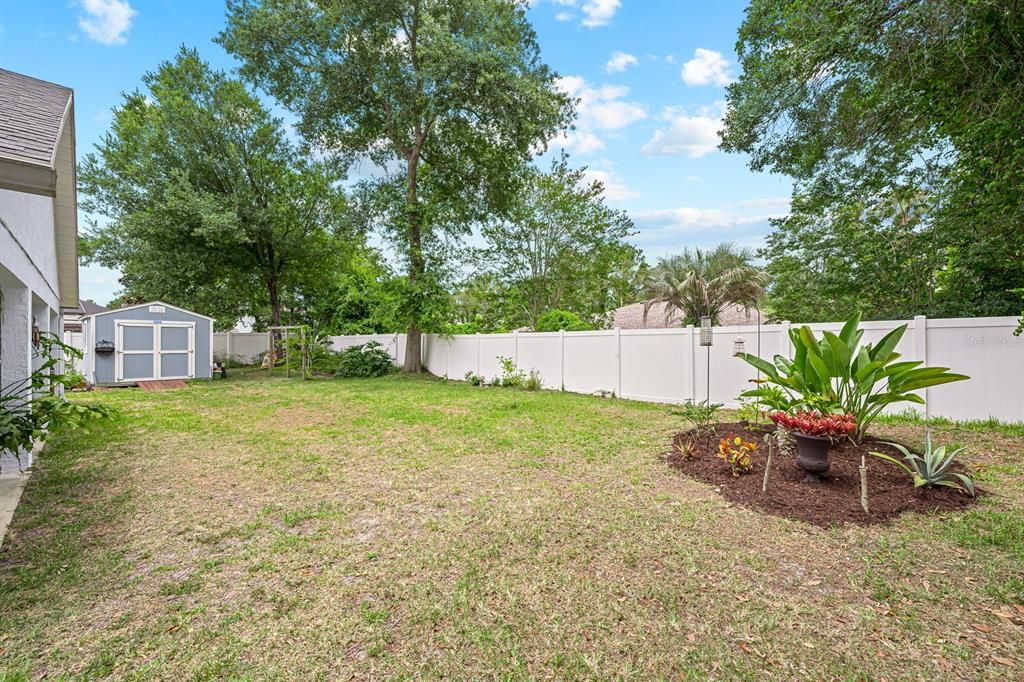 Back Yard Garden