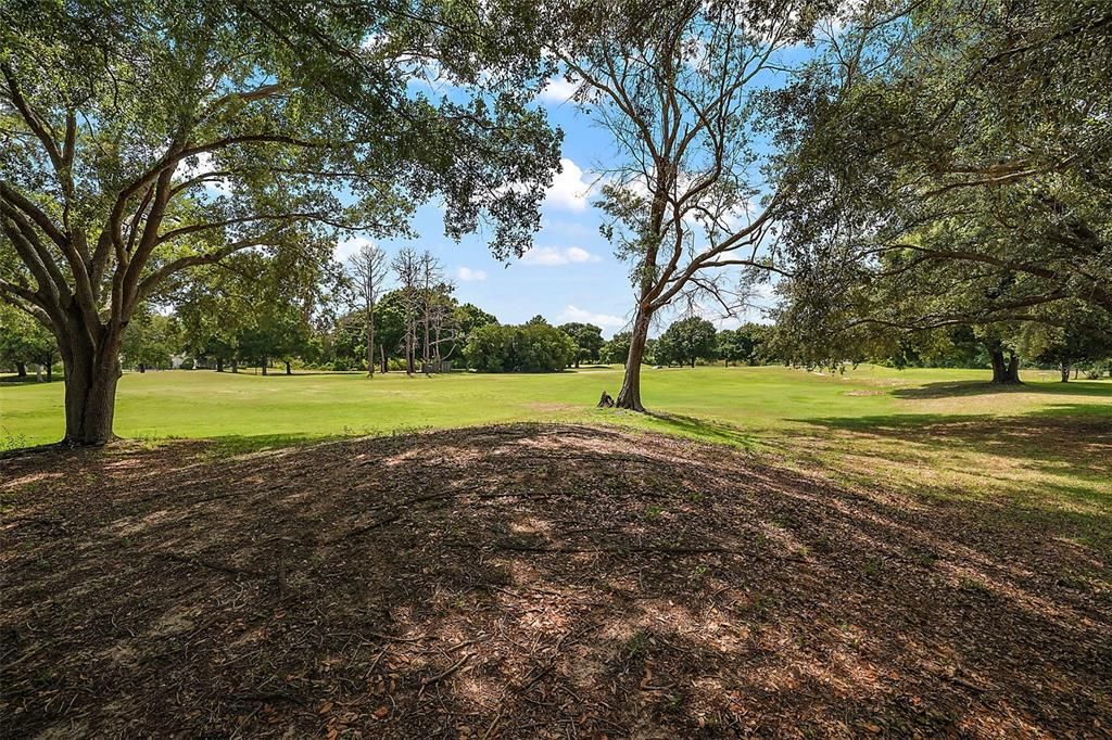 Shaded Back yard with views of the Golf Course.