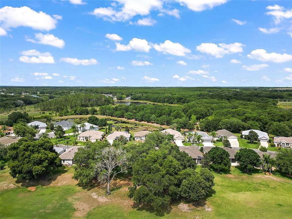 Aerial View - from Golf Course toward homes.