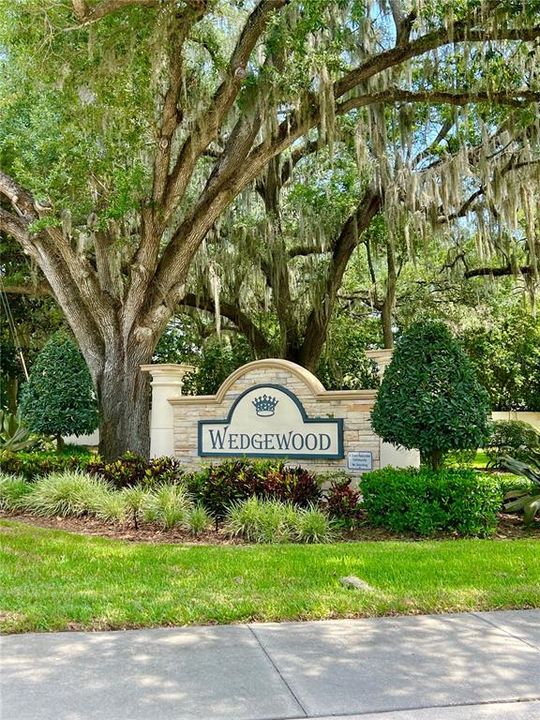 The Wedgewood community is a great place to live!