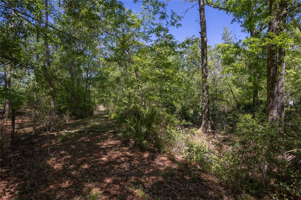 For Sale: $99,500 (4.21 acres)