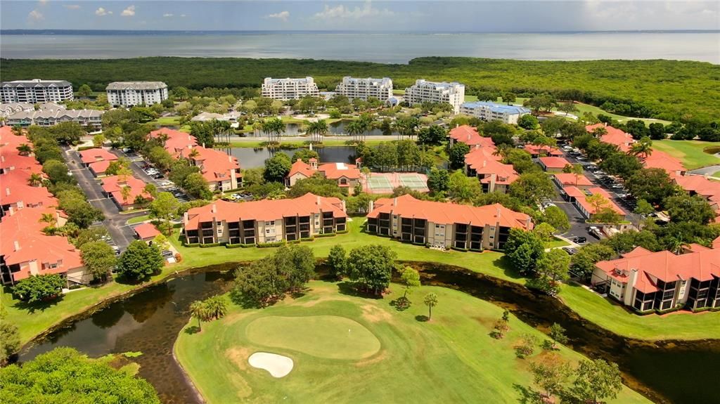 Aerial Views of Audubon Condominiums