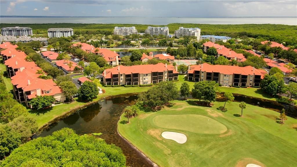 Aerial Views of Audubon Condominiums