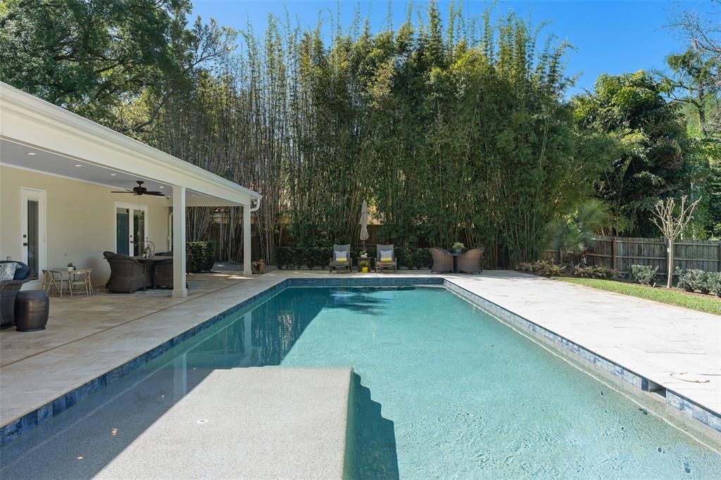 Oversized Pool with Sun Shelf