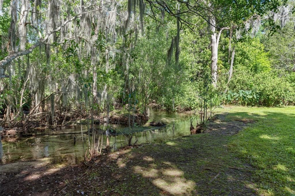 Property backs up to creek and Mead Gardens