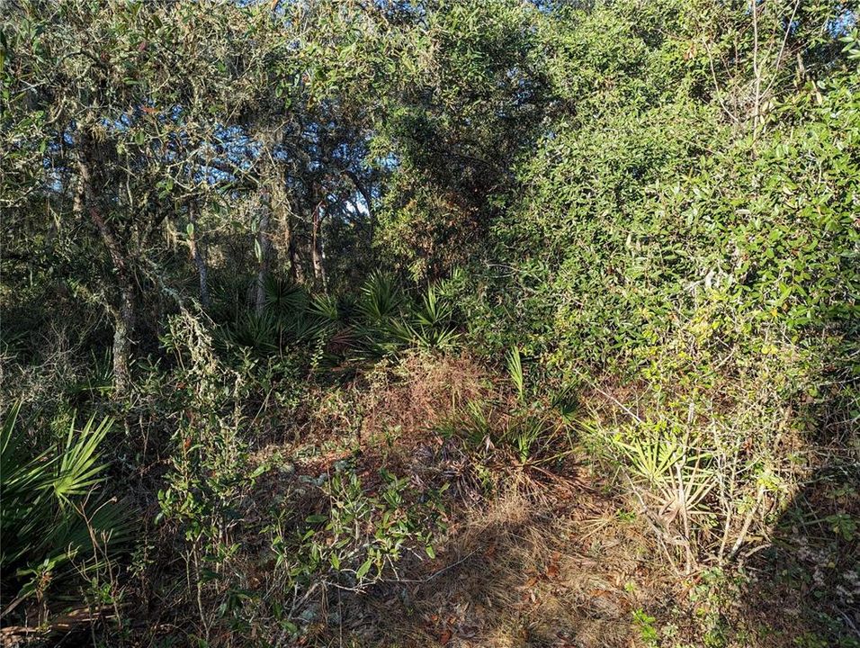 En Venta: $259,900 (3.86 acres)